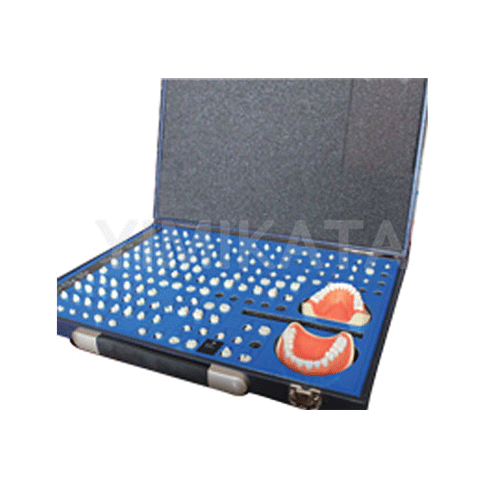 Modelo de enseñanza, Consumibles dentales, material dental, clinica dental, dent